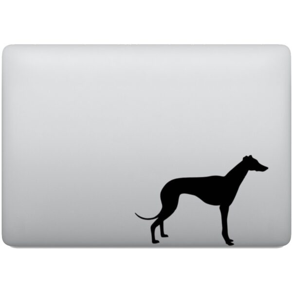 Adesivo de Notebook Cachorro Raça Whippet