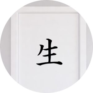 Adesivo de Casa Vida Kanji Japonês