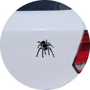 Adesivo de Carro Aranha Tarantula