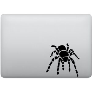 Adesivo de Notebook Aranha Tarantula